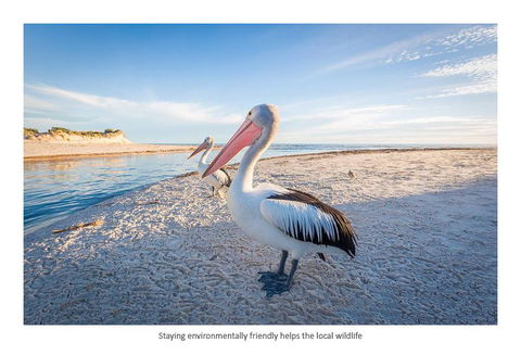 Adelaide Luxury Beach House - Hotel Gold Coast 25