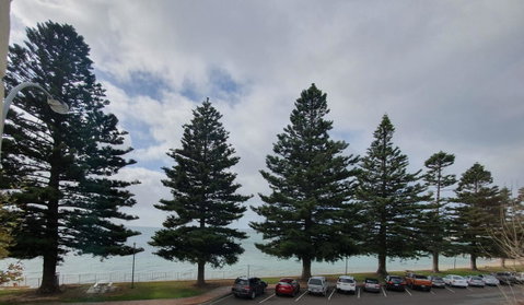 Pier Hotel Port Lincoln - Hotel Gold Coast 12