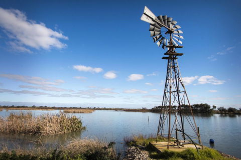 Limestone Ridge - Hotel Gold Coast 16