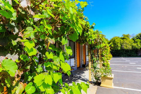 Country Roads Motor Inn Naracoorte - Hotel Gold Coast 18