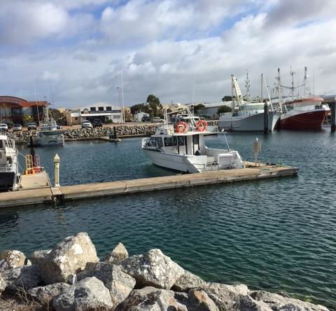 Port Lincoln Shark Apartment 3 - Hotel Gold Coast 1