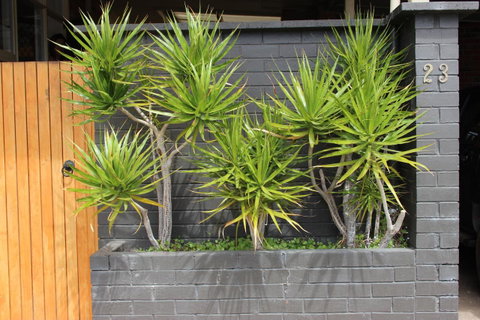 My Port Lincoln Place - Hotel Gold Coast 23