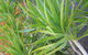 My Port Lincoln Place - thumb 20