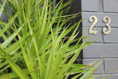 My Port Lincoln Place - Hotel Gold Coast 17