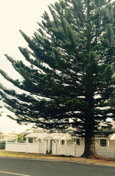 Railway Cottage In Beachport - Hotel Gold Coast 13
