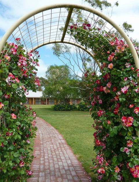 Coonawarra Place Motor Inn - Hotel Gold Coast 20