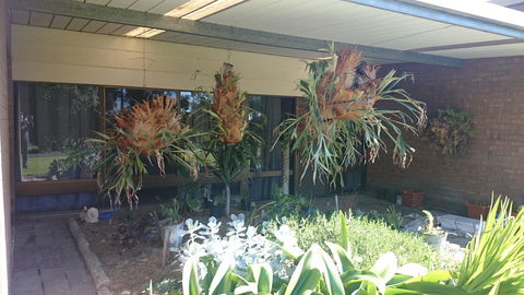 Hilltop Escape - Hotel Gold Coast 11