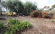 One Tree Bed And Breakfast - thumb 4
