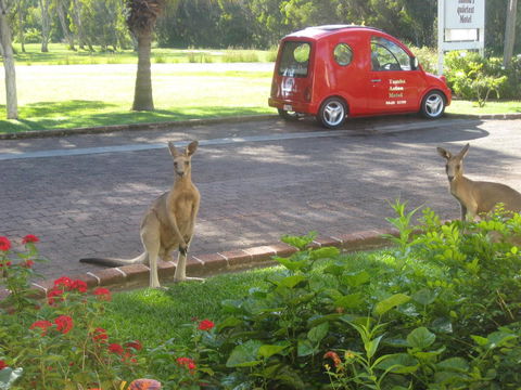 Aston Motel Yamba - Hotel Gold Coast 6