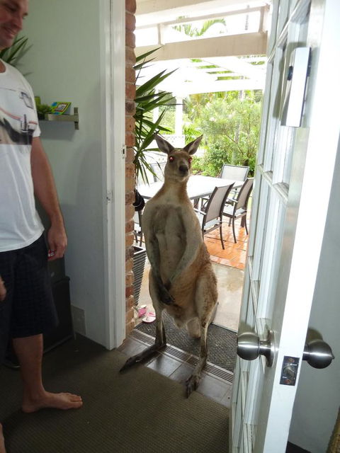 Aston Motel Yamba - Hotel Gold Coast 10