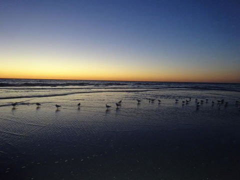 Aurora Holiday Apartment @West Beach - Hotel Gold Coast 14