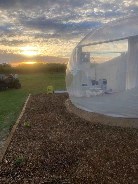 Coonawarra Bubble Tents - Hotel Gold Coast 6