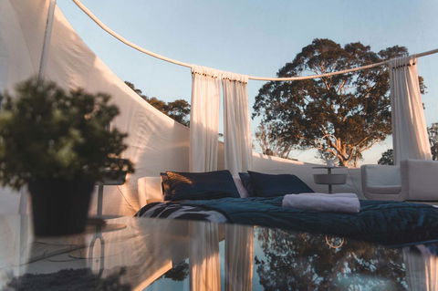 Coonawarra Bubble Tents - Hotel Gold Coast 12