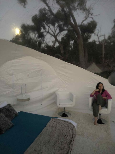 Coonawarra Bubble Tents - Hotel Gold Coast 1