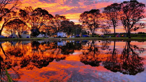 Coonawarra Bubble Tents - Hotel Gold Coast 3