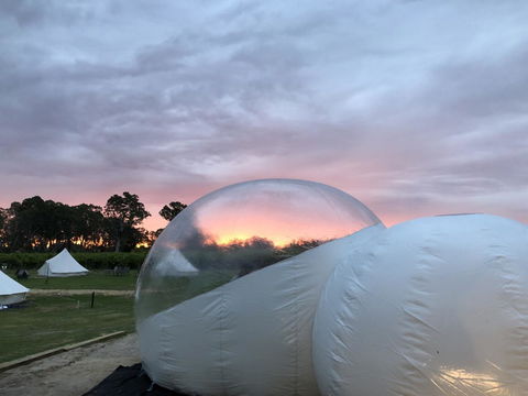 Coonawarra Bubble Tents - Hotel Gold Coast 4