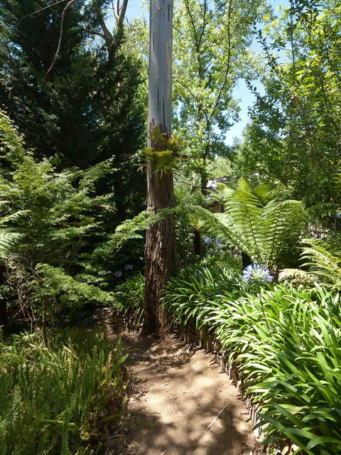 Aldgate Creek Cottage Bed And Breakfast - Hotel Gold Coast 27