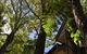Aldgate Creek Cottage Bed And Breakfast - thumb 8