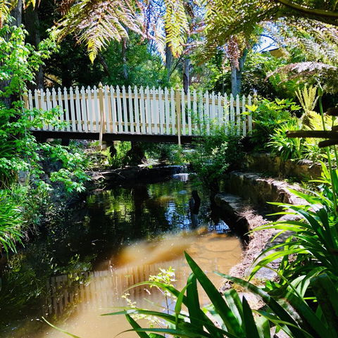 Aldgate Creek Cottage Bed And Breakfast - Hotel Gold Coast 24