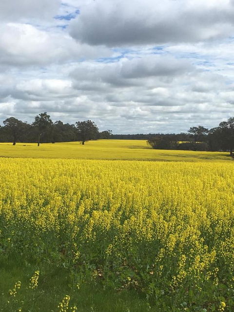 Blue House Denmark - Hotel Gold Coast 5