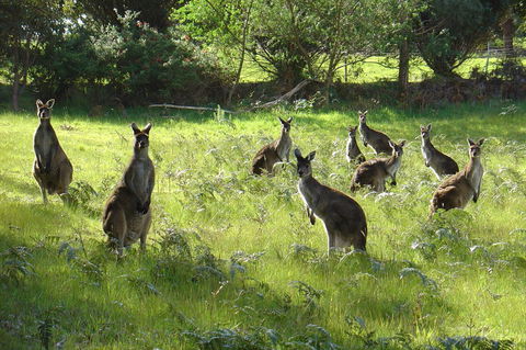 Blue House Denmark - Hotel Gold Coast 13