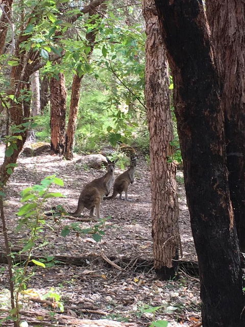Blue House Denmark - Hotel Gold Coast 7