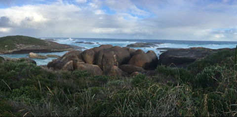 Blue House Denmark - Hotel Gold Coast 4