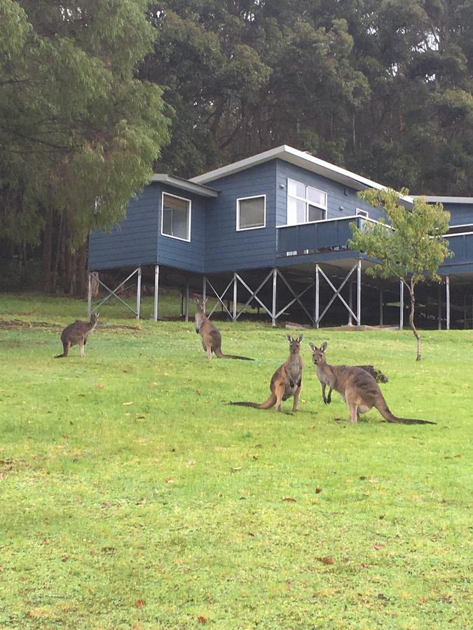 Denmark WA Hotel Gold Coast