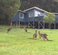 Blue House Denmark - Hotel Gold Coast