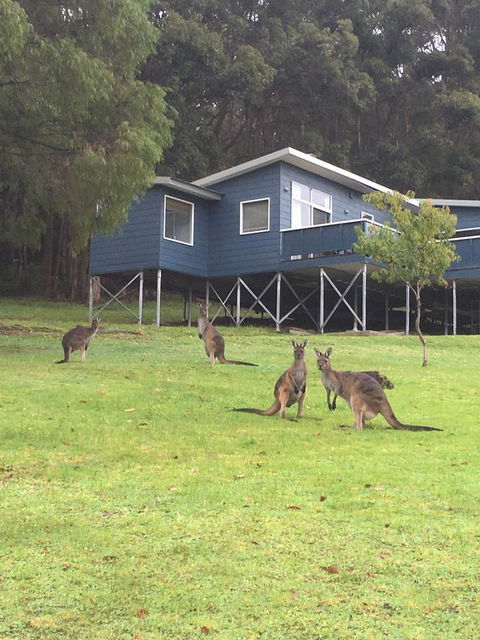 Blue House Denmark - Hotel Gold Coast 0