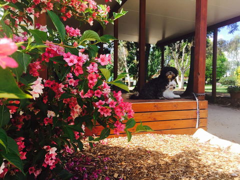 Armidale Tourist Park - Hotel Gold Coast 34
