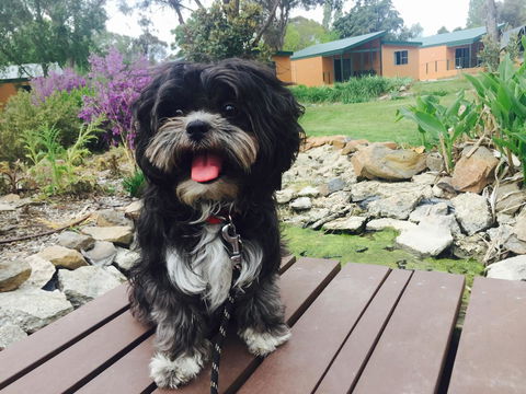 Armidale Tourist Park - Hotel Gold Coast 32