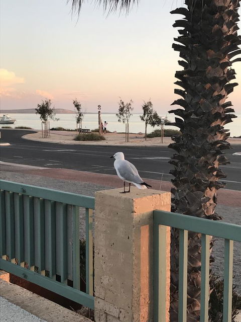 Shark Bay Seafront Apartments - Hotel Gold Coast 0