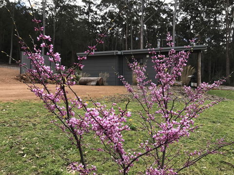 The Floating Forest - Hotel Gold Coast 15