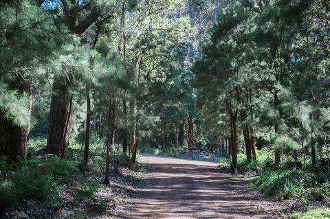 The Floating Forest - Hotel Gold Coast 30