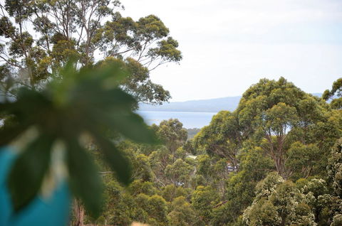 The Floating Forest - Hotel Gold Coast 8