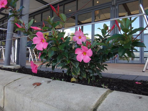 Mandurah Quay Resort - Hotel Gold Coast 34
