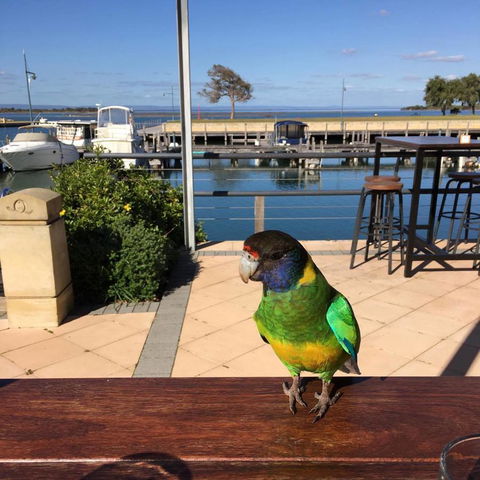 Mandurah Quay Resort - Hotel Gold Coast 32