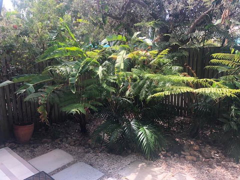 East On Byron - Hotel Gold Coast 40