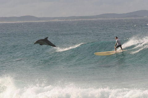 Crescent Head Spa Villa - Hotel Gold Coast 22