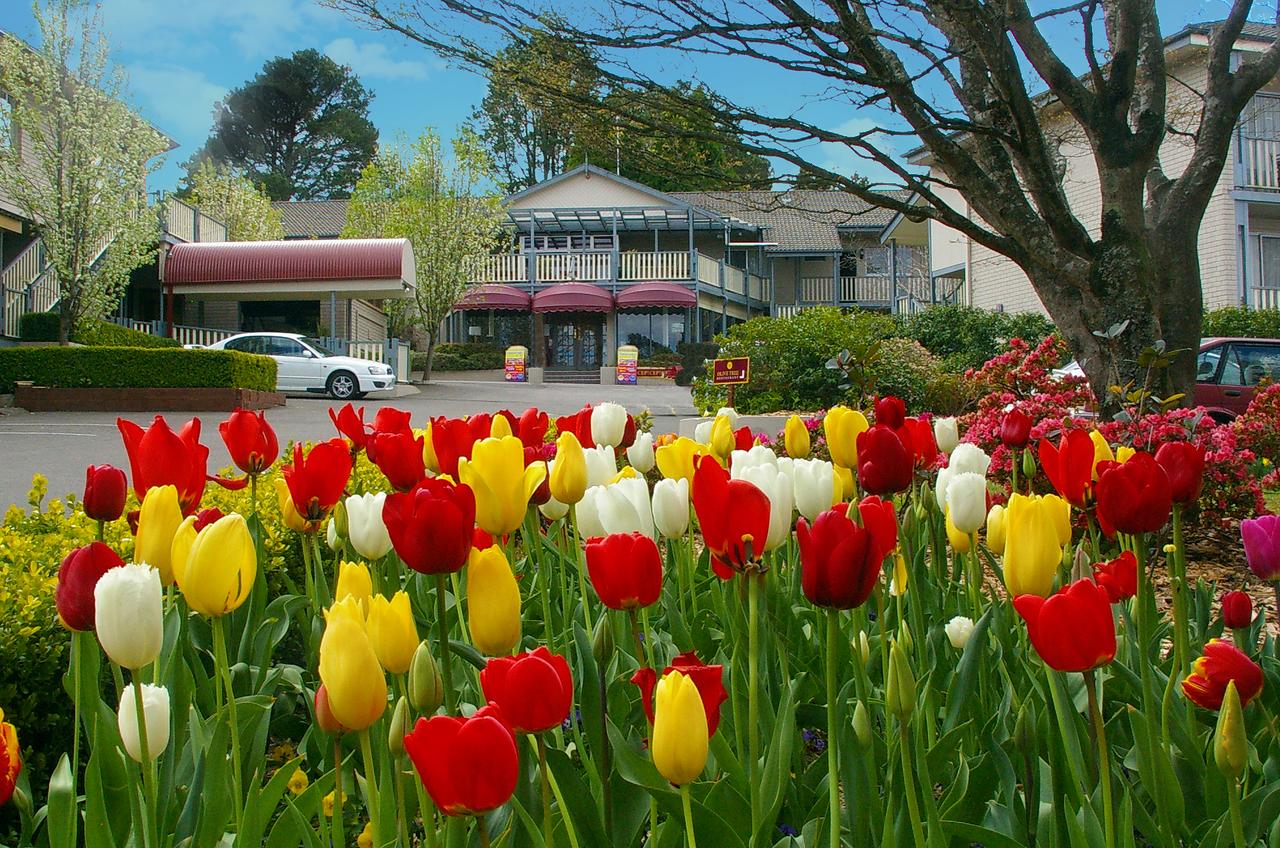 Leura NSW Hotel Gold Coast