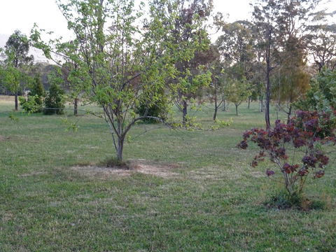 Romanz In The Valley (Luxury B&B) - Hotel Gold Coast 32