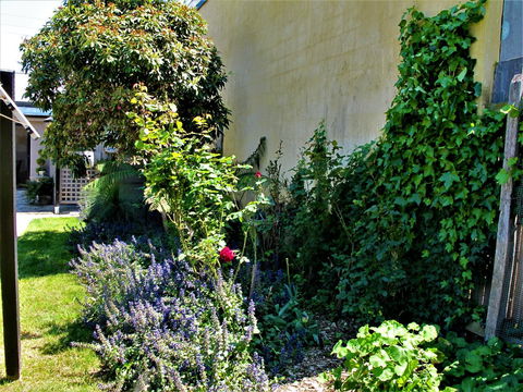 Apple Tree Cottage - Hotel Gold Coast 24