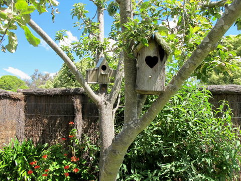 Apple Tree Cottage - Hotel Gold Coast 28
