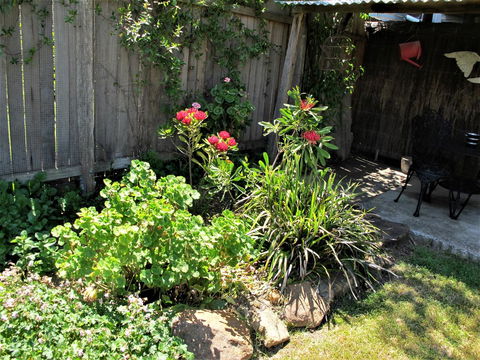 Apple Tree Cottage - Hotel Gold Coast 26