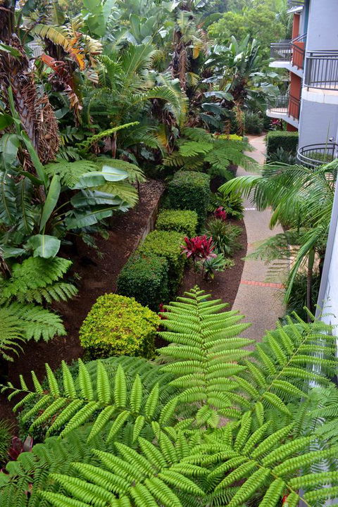 Flynns Beach Resort - Hotel Gold Coast 17