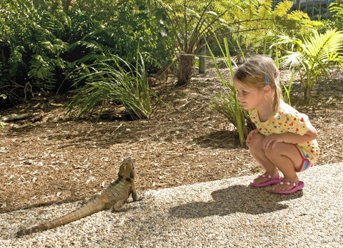Flynns Beach Resort - Hotel Gold Coast 16