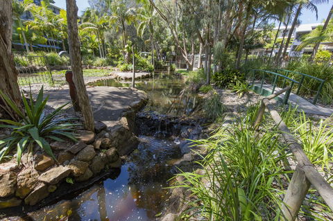 Flynns Beach Resort - Hotel Gold Coast 13