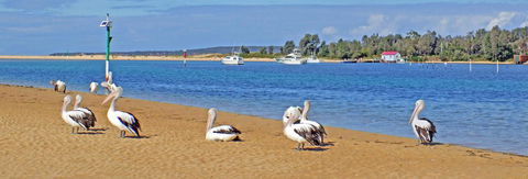 Pelican Motor Inn - Hotel Gold Coast 29
