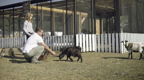The Woods Farm Jervis Bay - Hotel Gold Coast 14